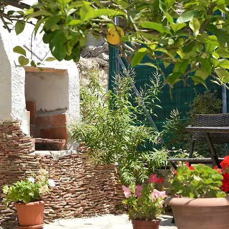 Guest House Al Giardino dei Limoni-3